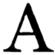 Allen Needham & Co