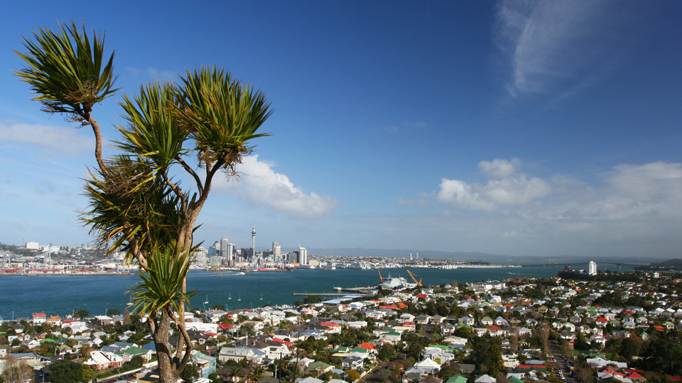 Sandringham Law logo