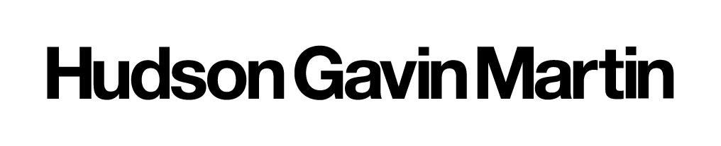 Hudson Gavin Martin logo